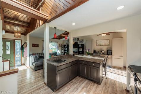 8543 Greenbriar Drive Olmsted Twp OH 44138