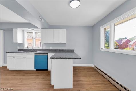 22000 Nicholas Avenue Euclid OH 44123