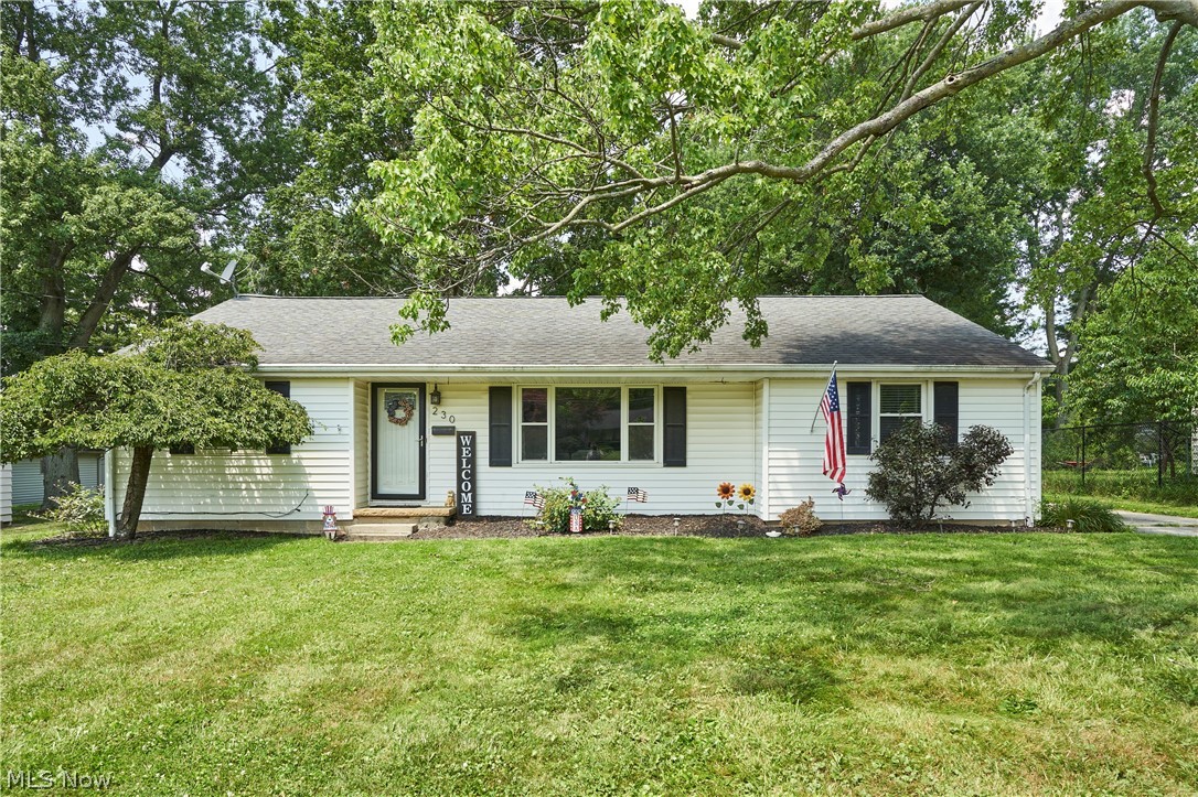 230 Valley View Drive Wadsworth OH 44281