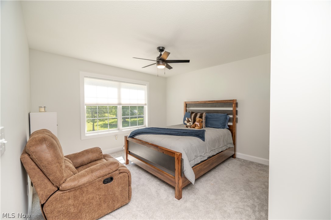 7080 S Palmyra Road Canfield OH 44406