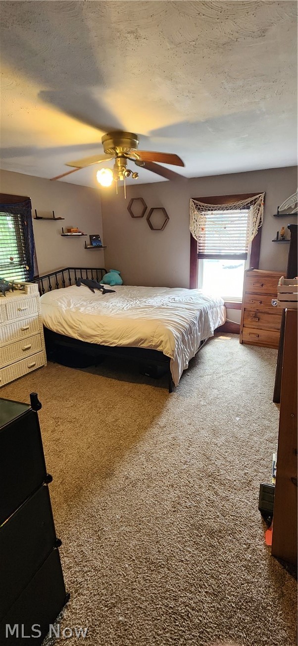 4081 Greenville Road NE Cortland OH 44410