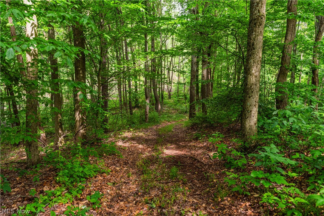 5674 Pleasant Valley Road Nashport OH 43830