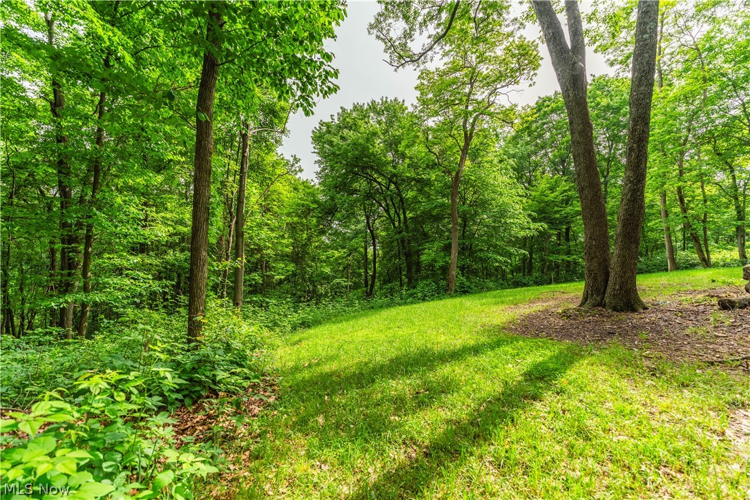5674 Pleasant Valley Road Nashport OH 43830