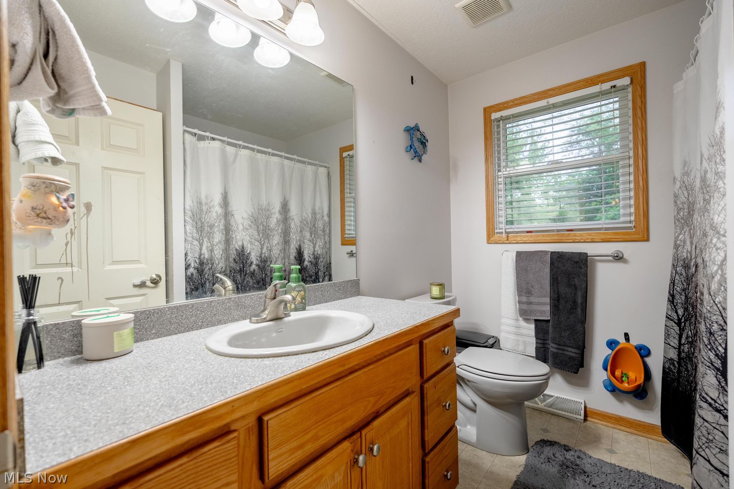 2515 Sussex Drive New Franklin OH 44216