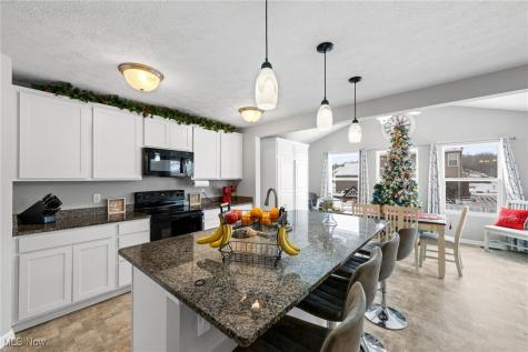 3502 Magnolia Drive Lorain OH 44053