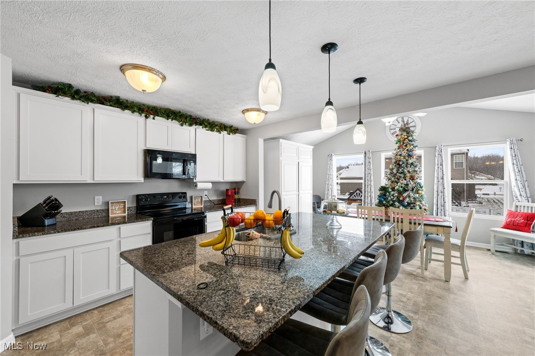 3502 Magnolia Drive Lorain OH 44053