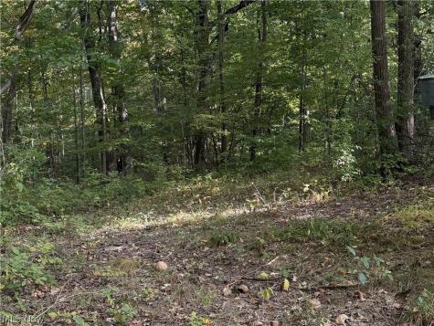 4075 Hamilton Road Medina OH 44256