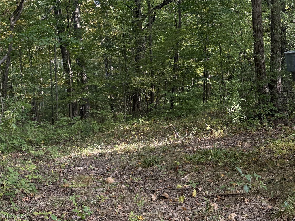 4075 Hamilton Road Medina OH 44256