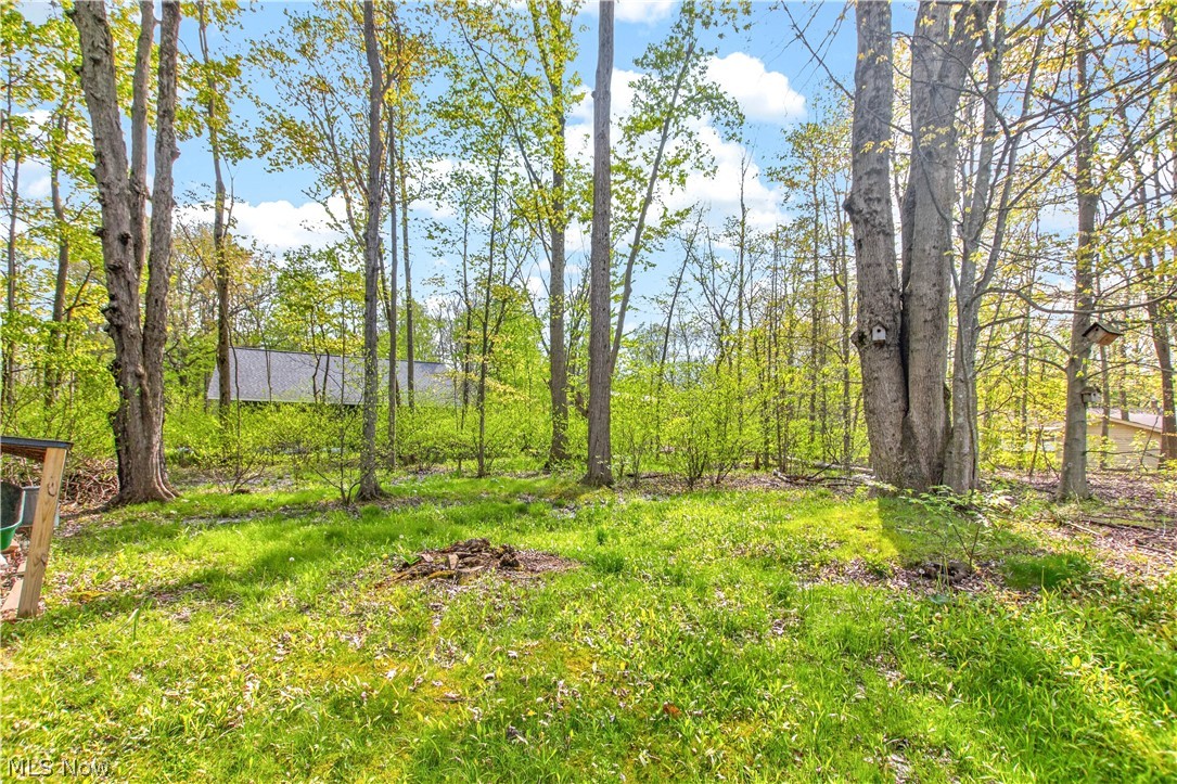 12808 Wellswood Trail Chesterland OH 44026
