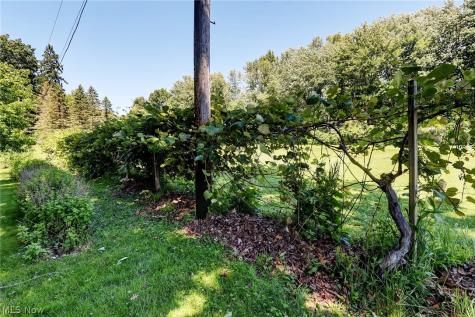 6065 E Valleyview Court Mentor OH 44060