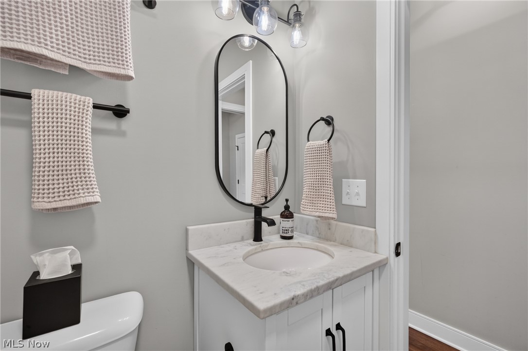 294 Sapphire Lane Streetsboro OH 44241