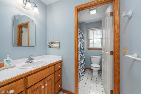 212 Brown Street Wellington OH 44090