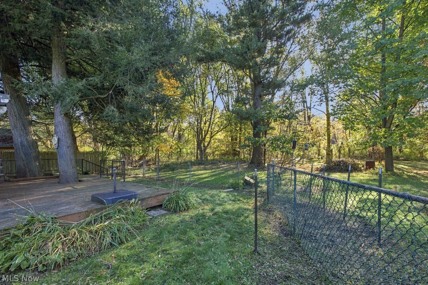 255 Daniels Avenue Conneaut OH 44030