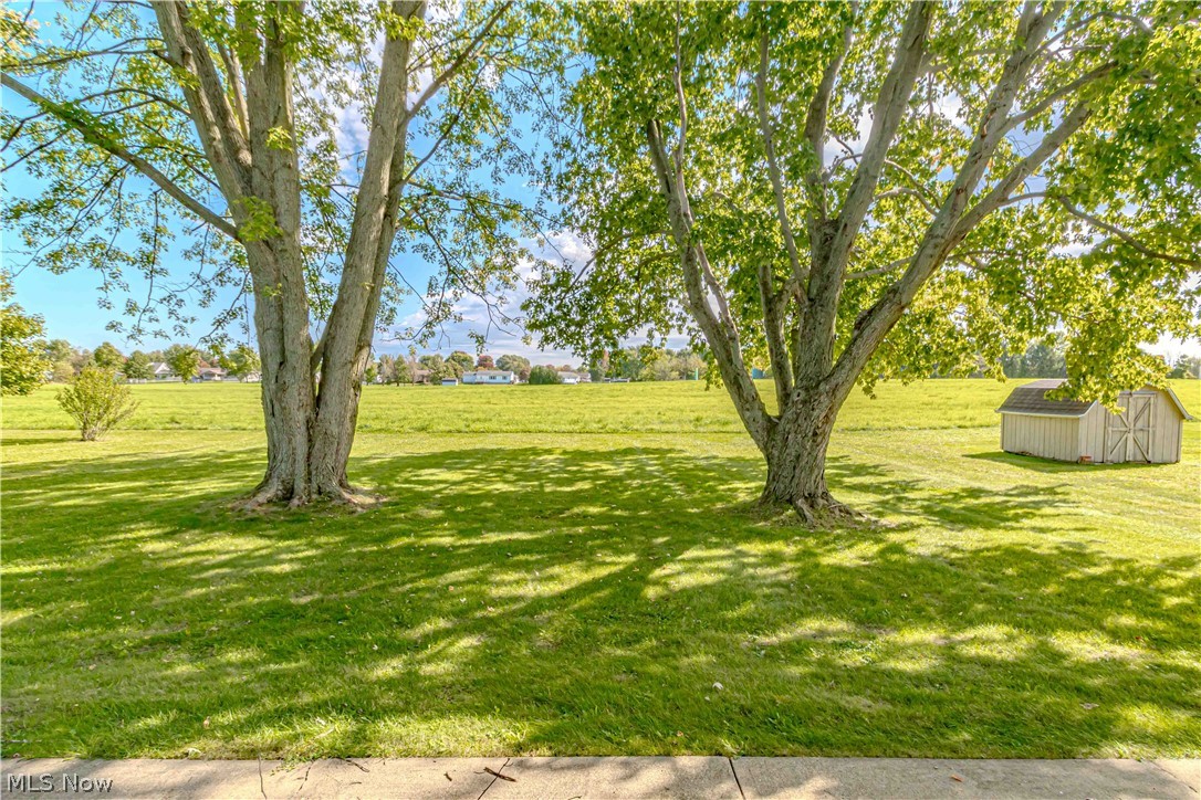 149 Pine Street Creston OH 44217