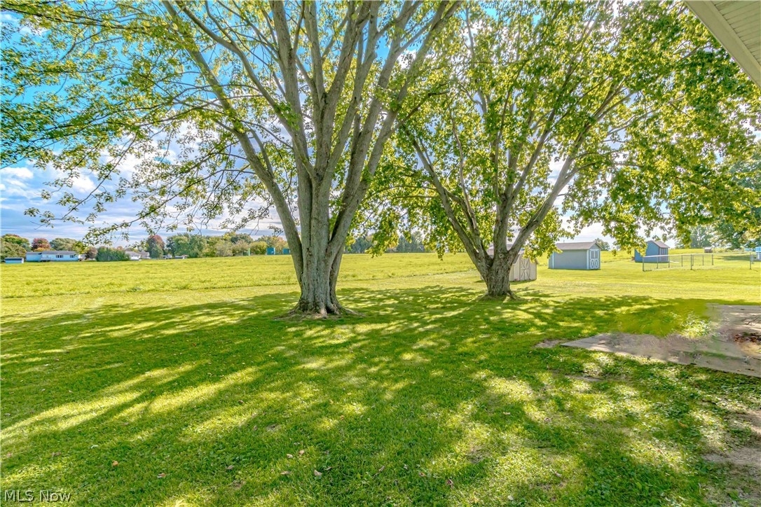 149 Pine Street Creston OH 44217
