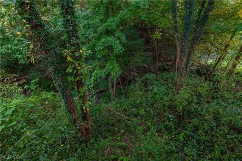 389 Stonewood Street Canal Fulton OH 44614