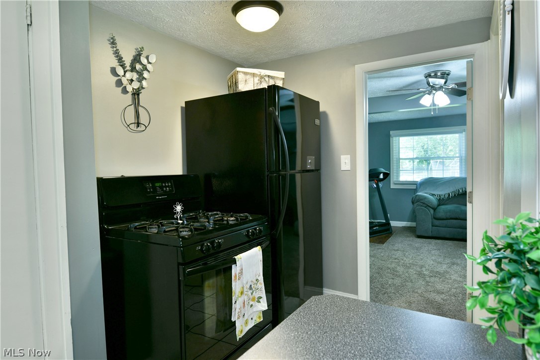23 Massachusetts Avenue Poland OH 44514