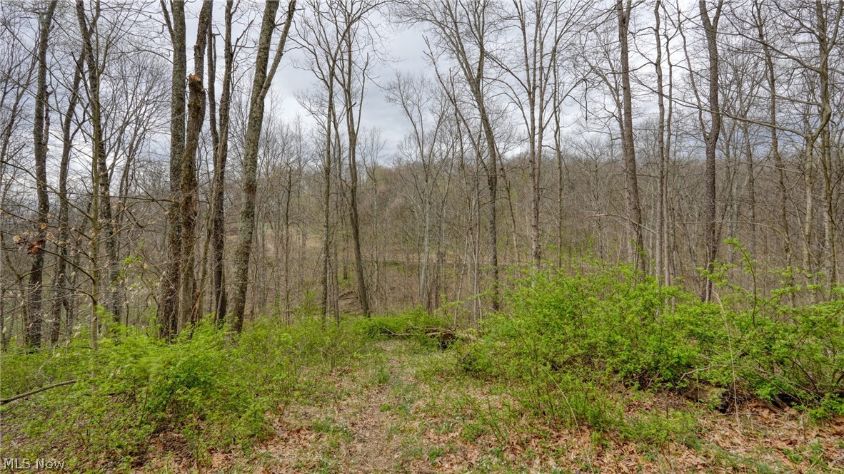 32917 Township Road 381 Warsaw OH 43844