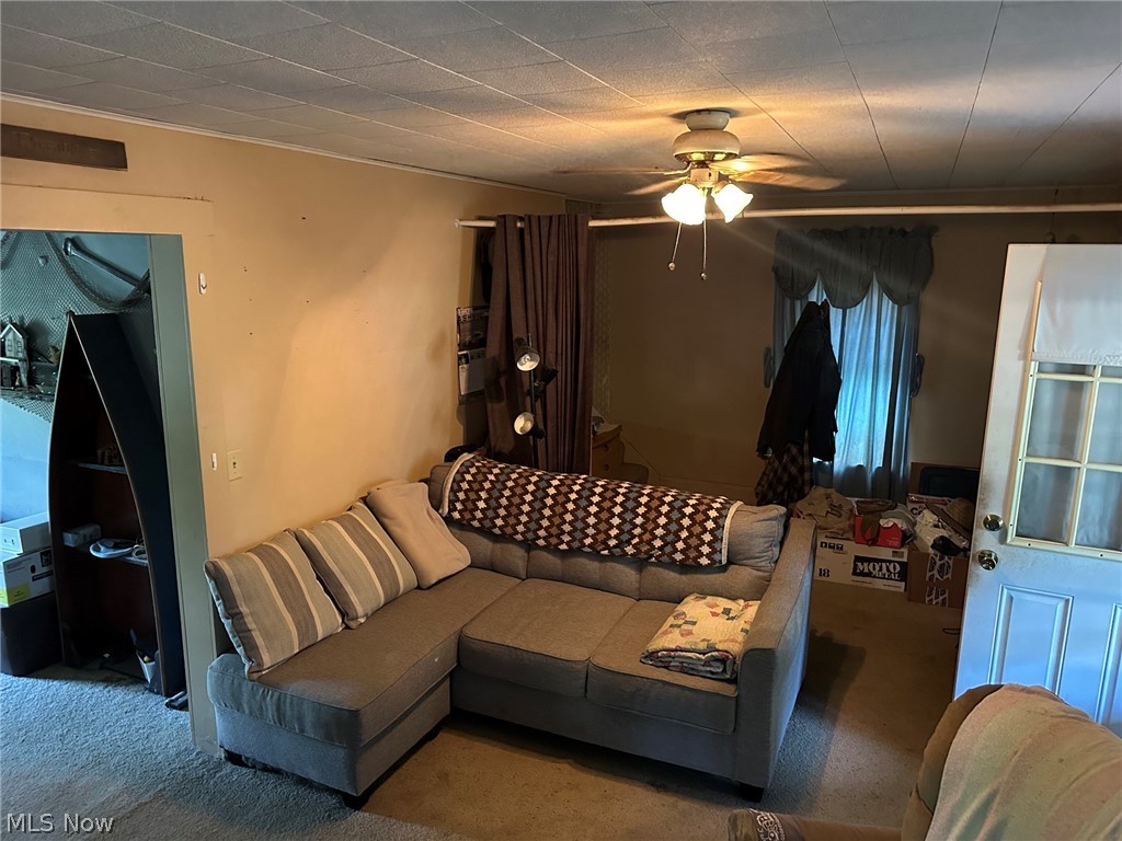 42820 Buckeye Street Flushing OH 43977