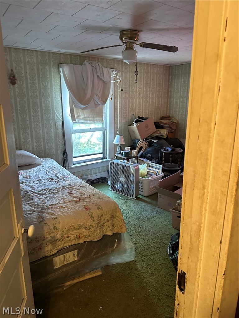 42820 Buckeye Street Flushing OH 43977