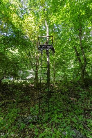 4341 Canal Road Wooster OH 44691