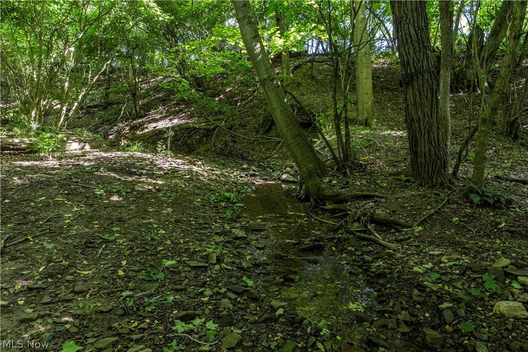 4341 Canal Road Wooster OH 44691