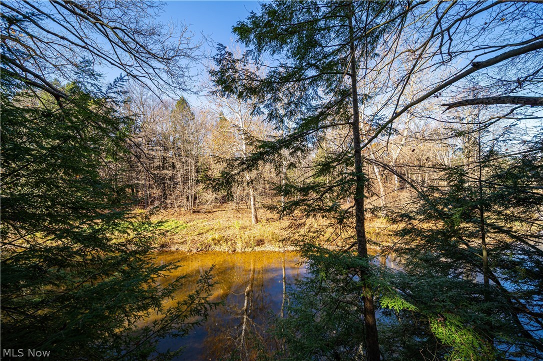 4281 N Forest Ridge Drive Ashtabula OH 44004