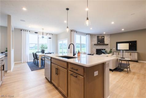 111 Country Meadow Lane Wadsworth OH 44281