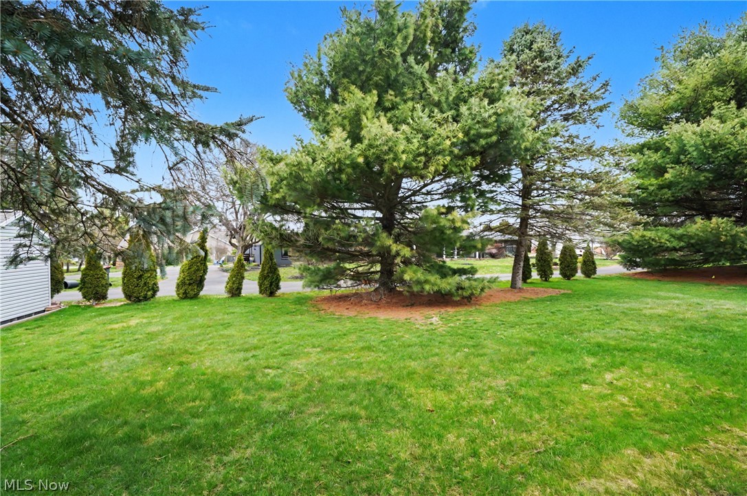 268 S Bayshore Drive Columbiana OH 44408