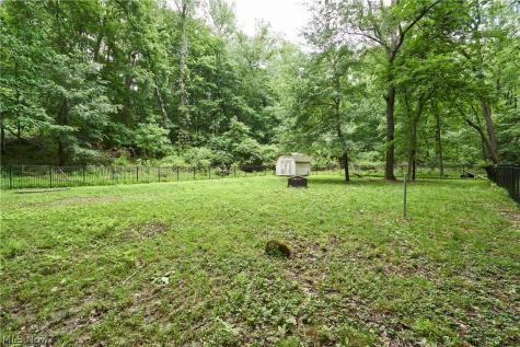 5541 Silver Fox Circle Clinton OH 44216
