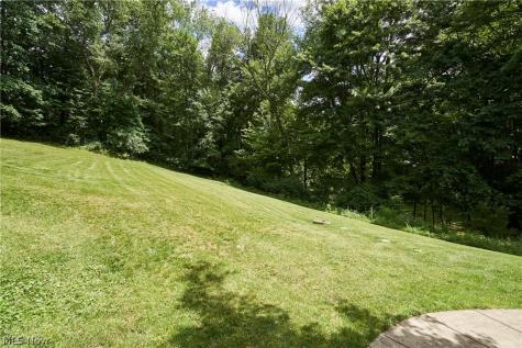 5541 Silver Fox Circle Clinton OH 44216