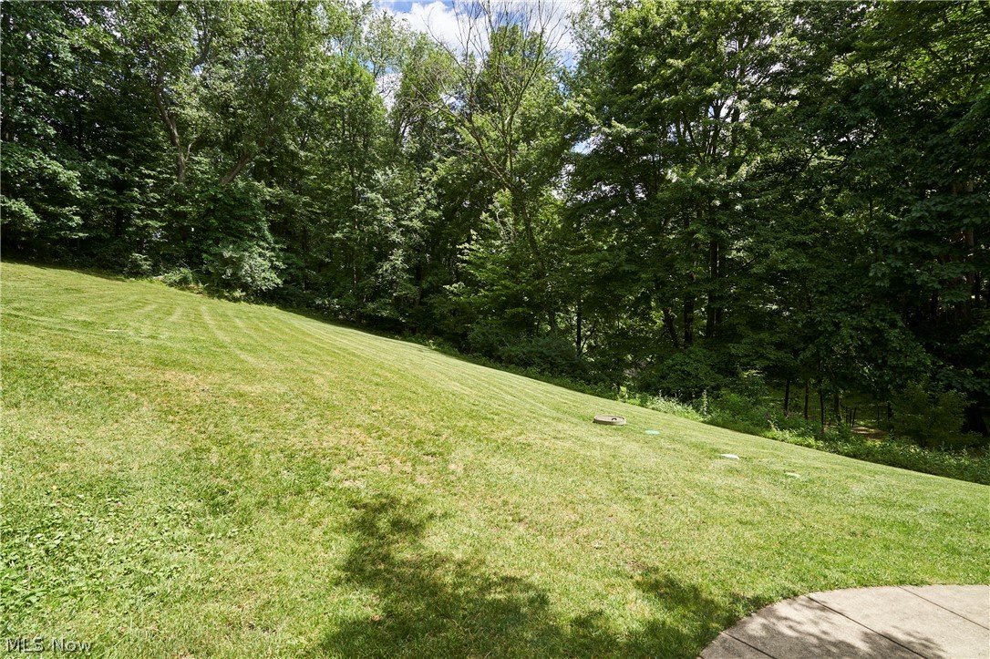 5541 Silver Fox Circle Clinton OH 44216