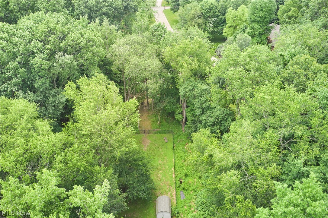 5541 Silver Fox Circle Clinton OH 44216