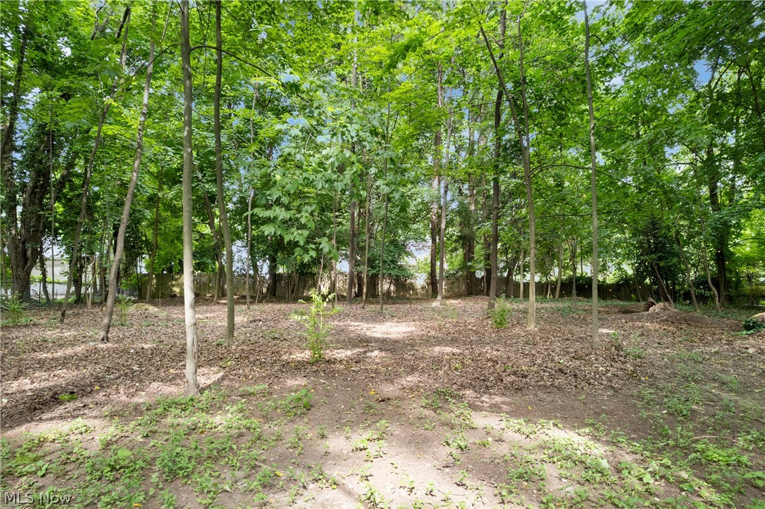 443 Merriman Road Akron OH 44303