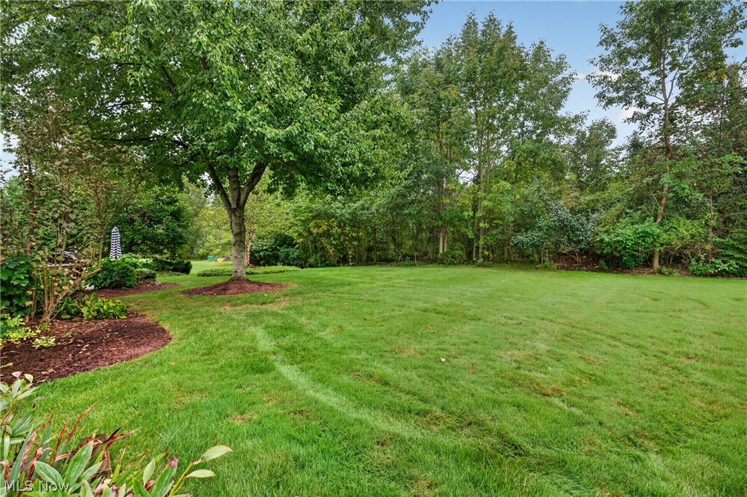 34196 Blue Heron Drive Solon OH 44139