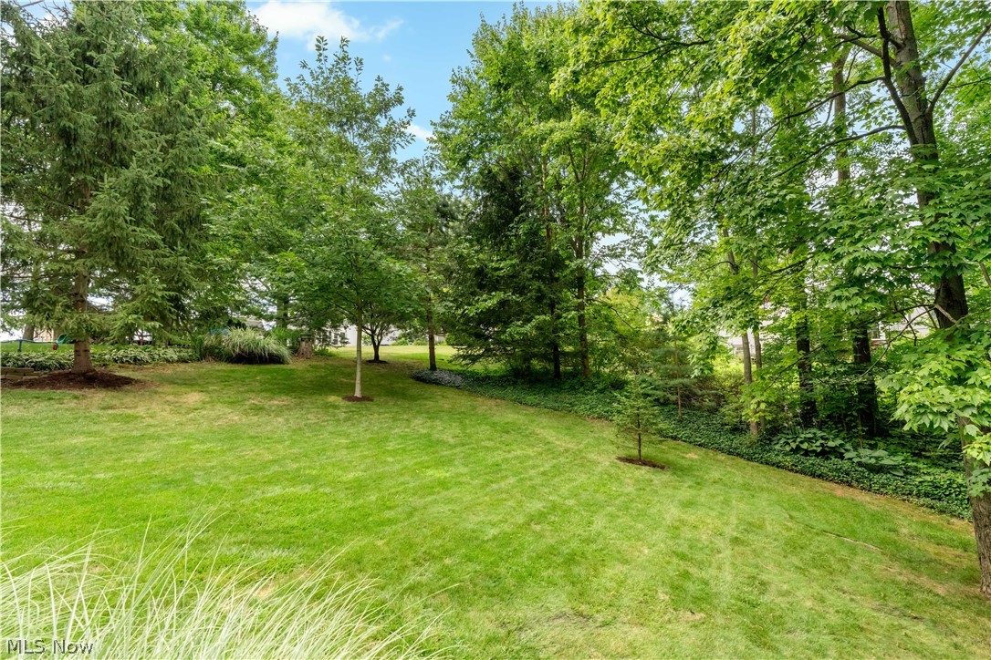 615 Highwood Drive Cuyahoga Falls OH 44223