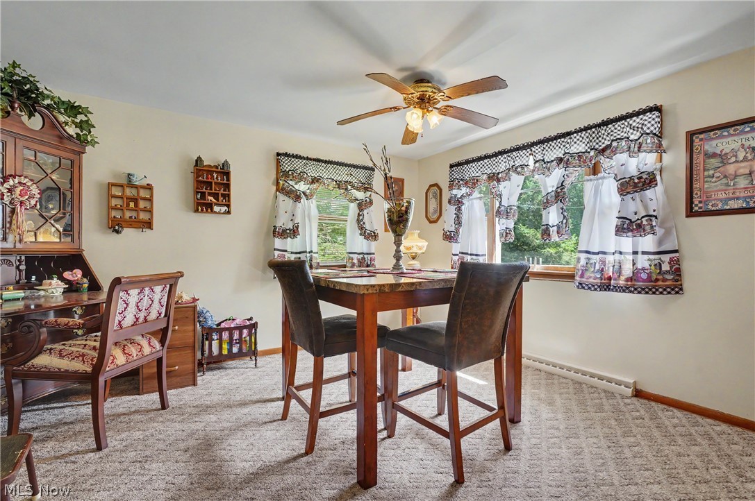 1420 E Beech Street Alliance OH 44601