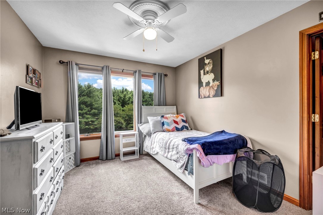 16420 Vernon Drive West Farmington OH 44491