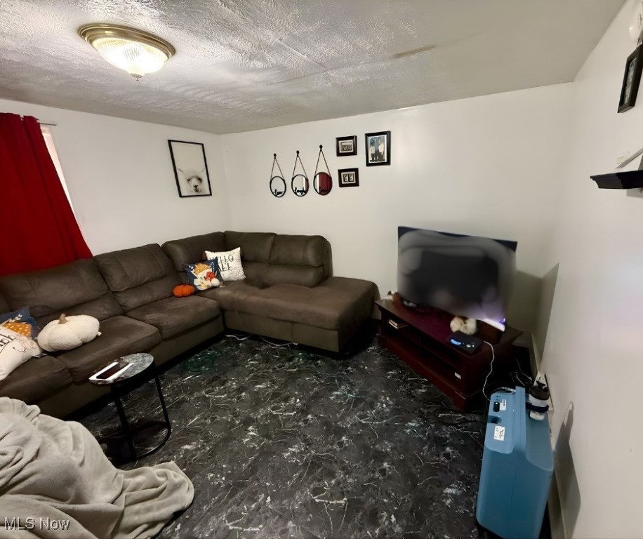 477 Henry Street Painesville OH 44077