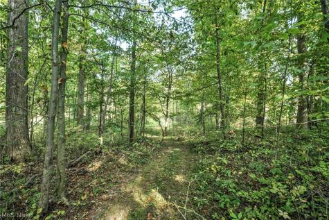 3583 W. Bath Road Akron OH 44333