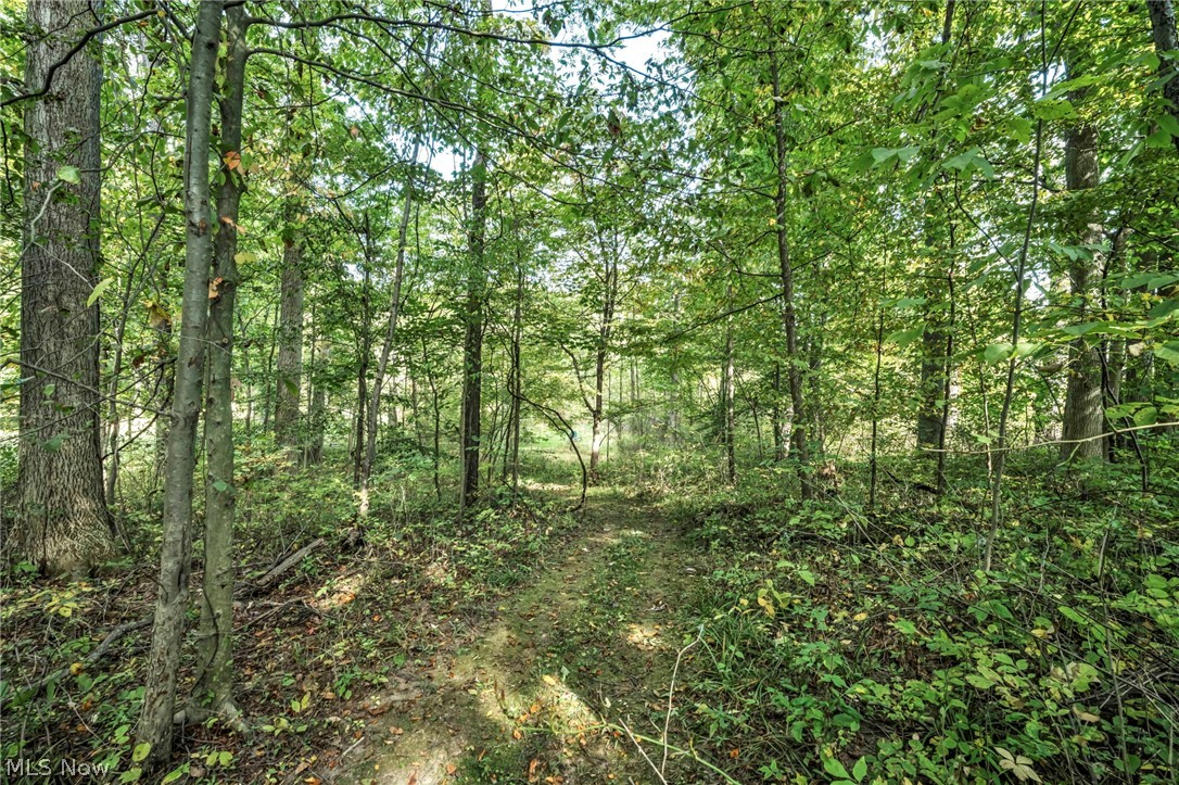 3583 W. Bath Road Akron OH 44333