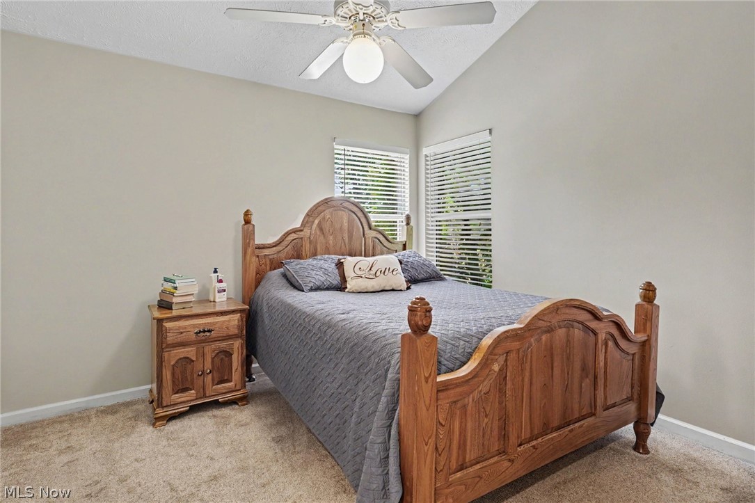 62 Rockaway Drive Roaming Shores OH 44085