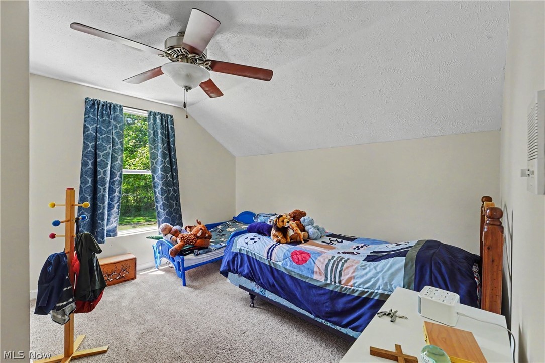 62 Rockaway Drive Roaming Shores OH 44085
