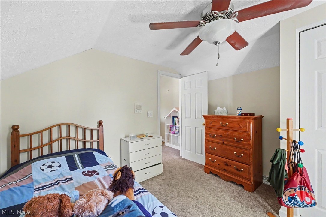 62 Rockaway Drive Roaming Shores OH 44085