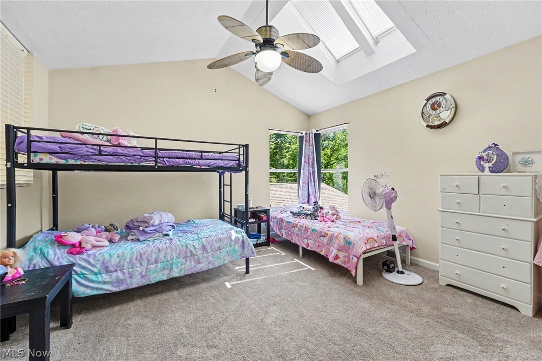 62 Rockaway Drive Roaming Shores OH 44085