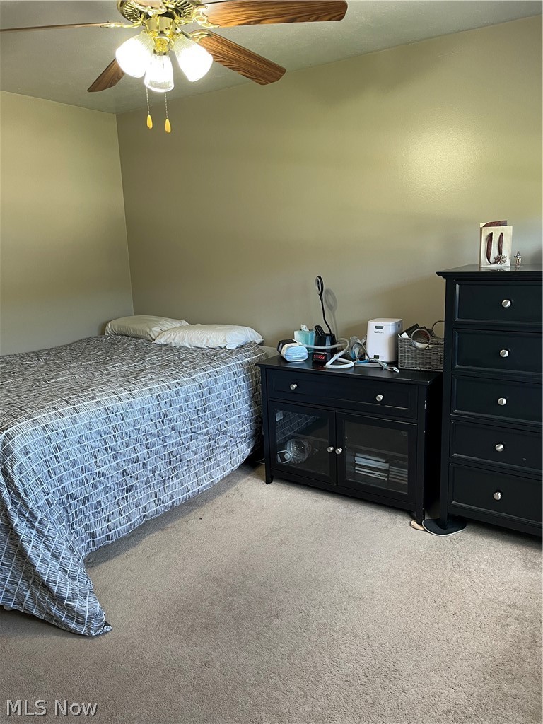 1987 Beringer Place Geneva OH 44041