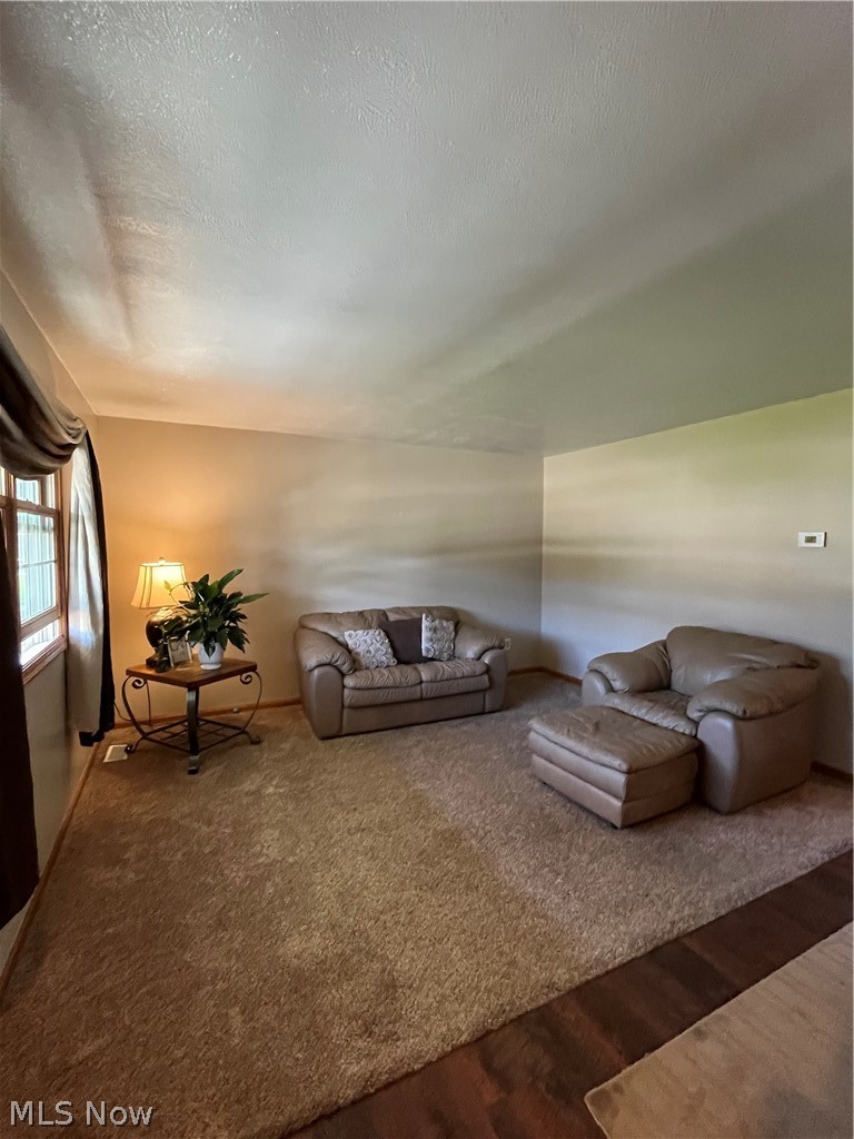 1987 Beringer Place Geneva OH 44041