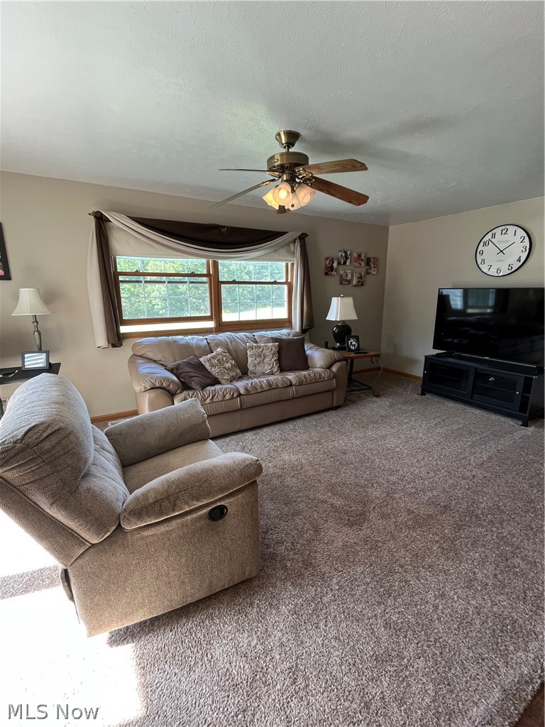 1987 Beringer Place Geneva OH 44041