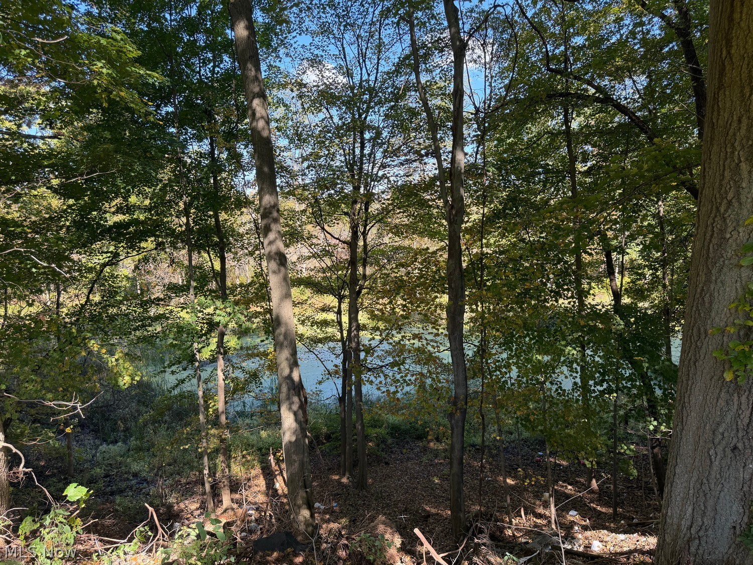 10723 Mcclintocksburg Road Newton Falls OH 44444