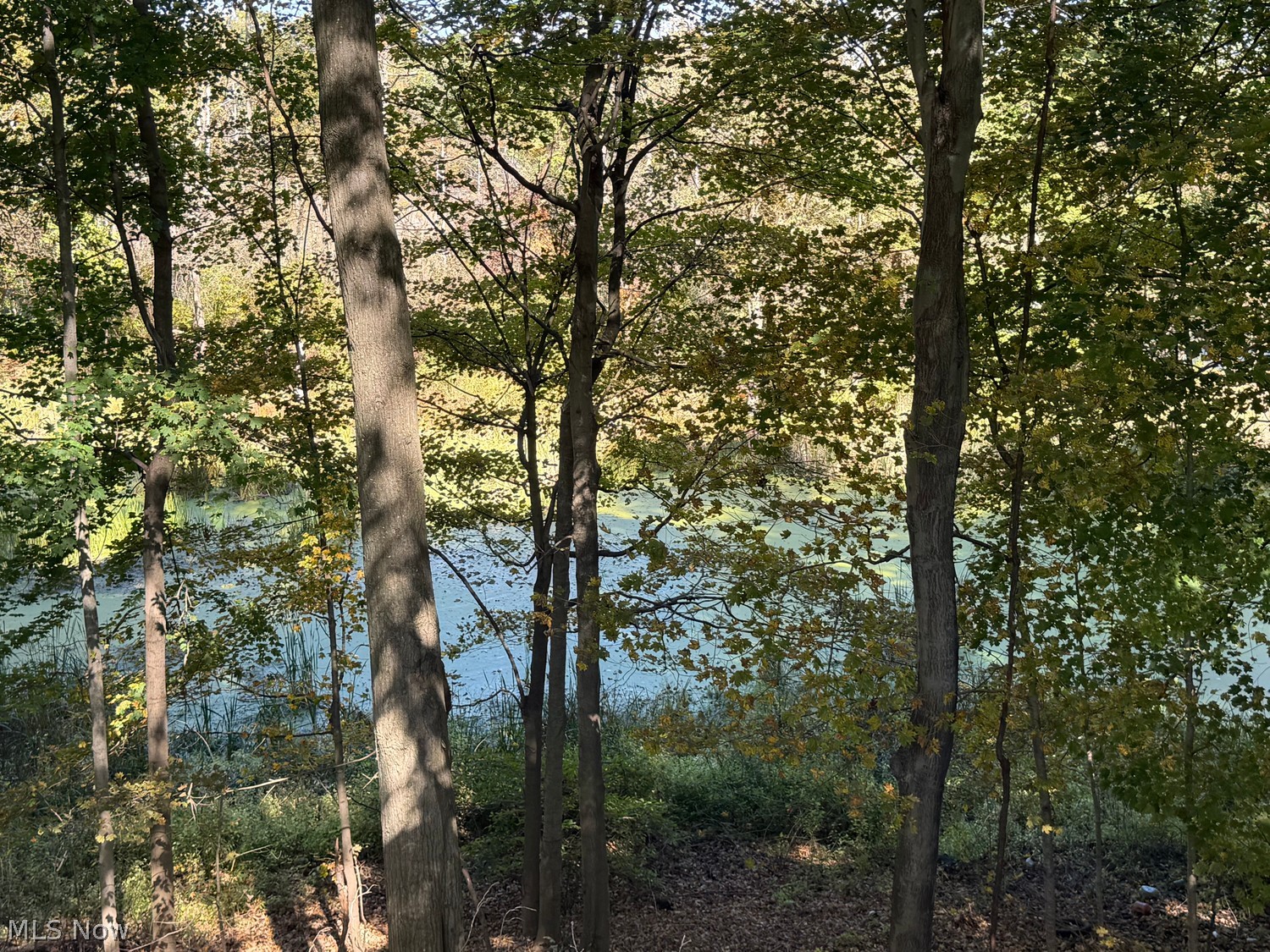 10723 Mcclintocksburg Road Newton Falls OH 44444